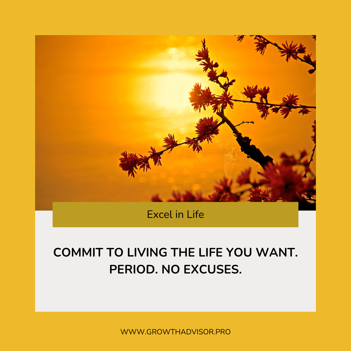 Commit To Living The Life You Want. Period. No Excuses.