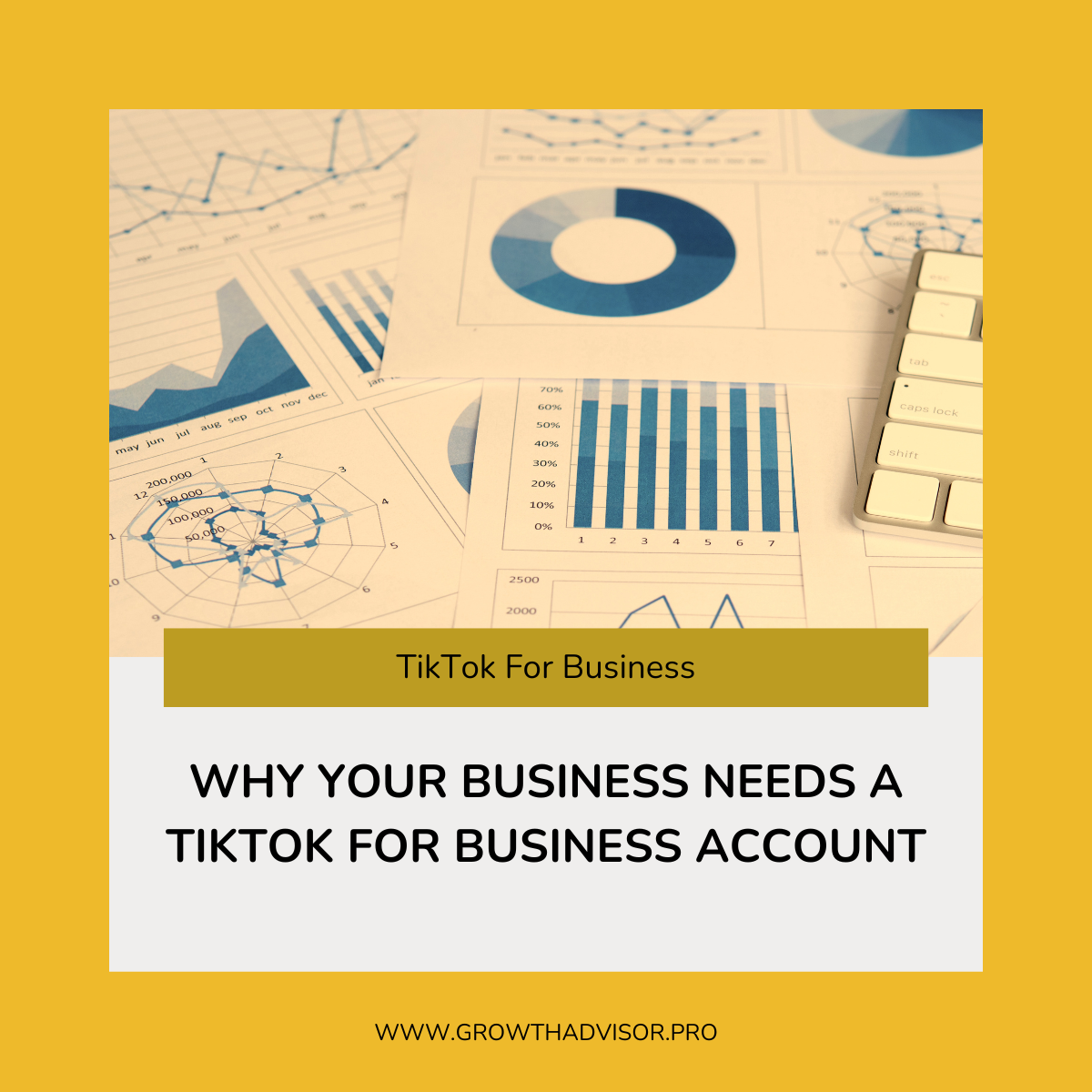 Why Your Business Needs a TikTok For Business Account