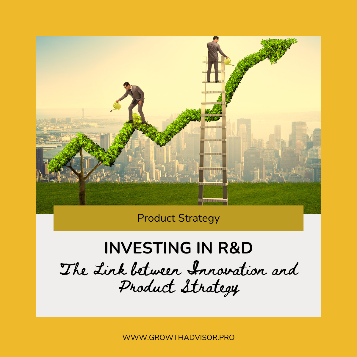 Investing in R&D: The Link between Innovation and Product Strategy