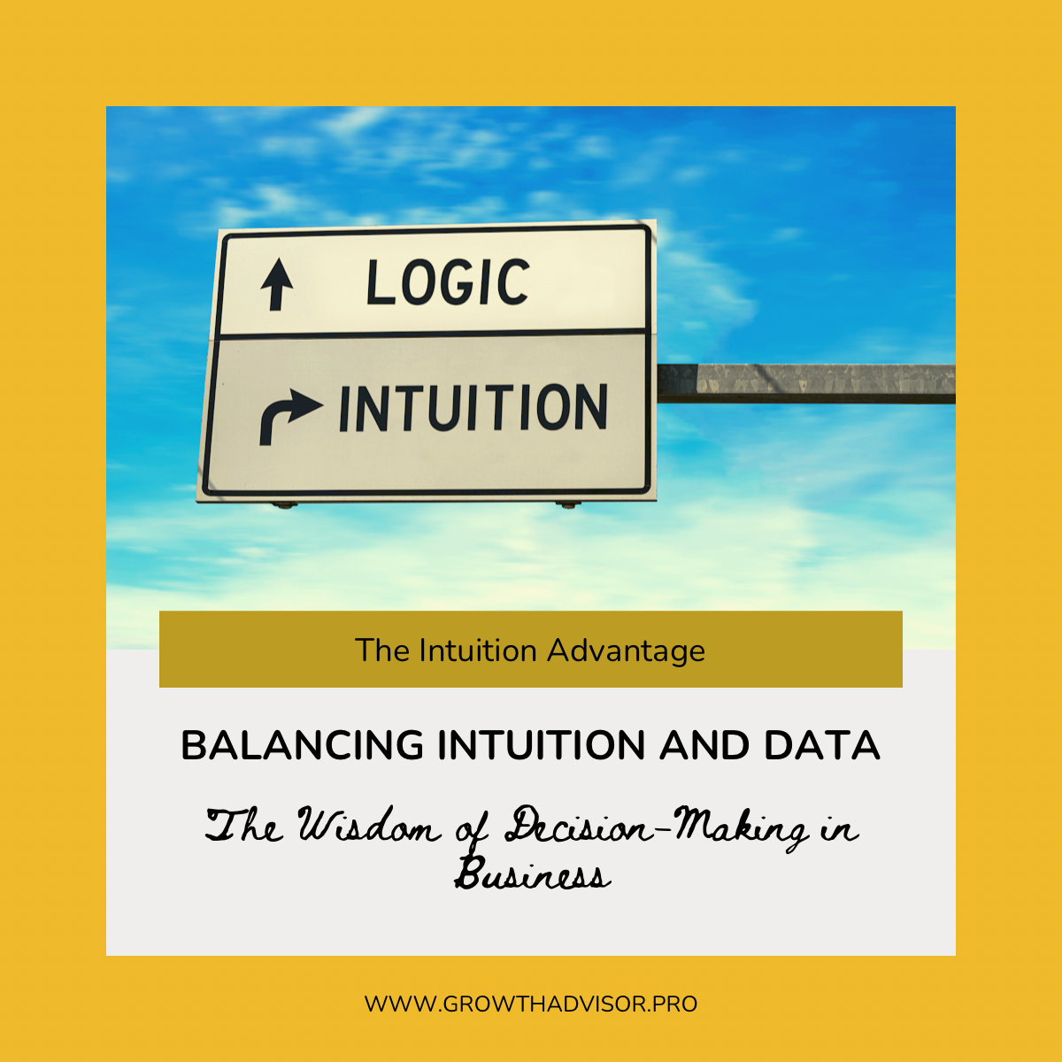 Balancing Intuition and Data: The Wisdom of Decision-Making in Business