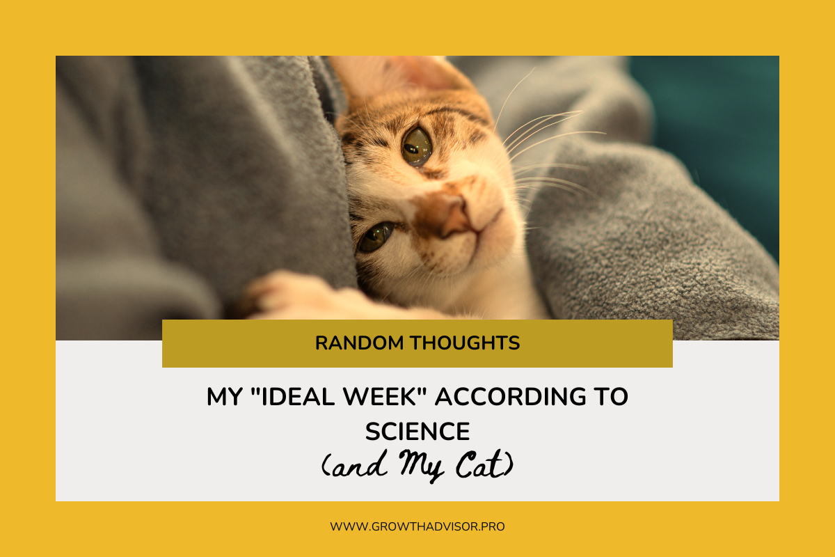 My “Ideal Week” According to Science (and My Cat)